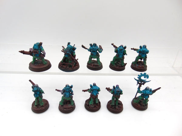 Neophyte Hybrids