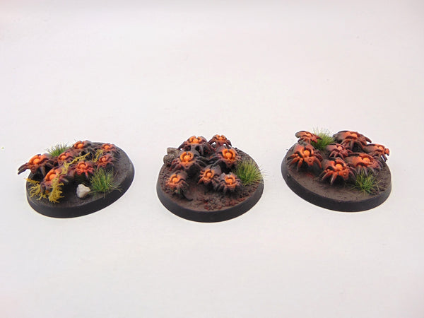 Canoptek Scarab Swarm