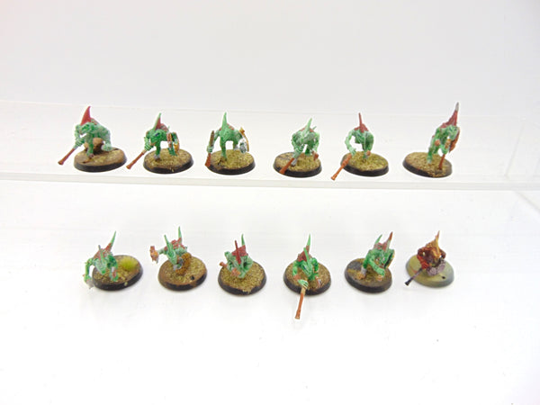 Skinks