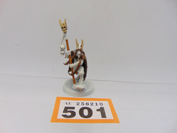 Great Bray Shaman