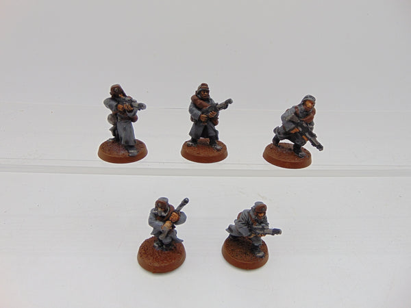 Valhallan Ice Warriors Troopers