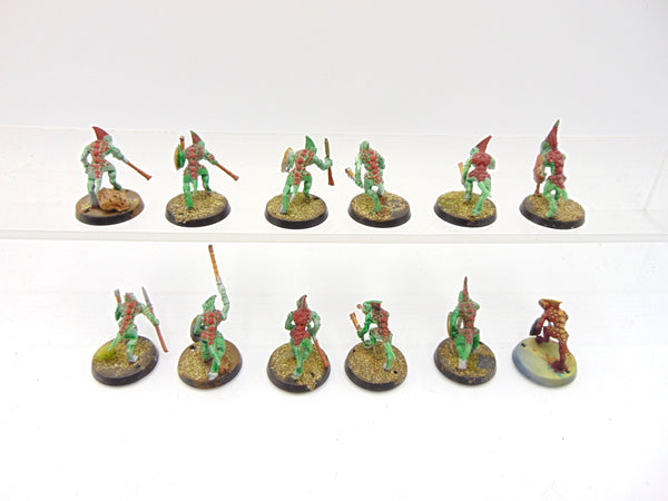 Skinks