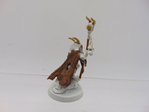 Great Bray Shaman