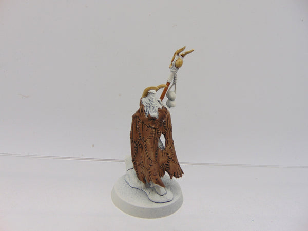 Great Bray Shaman
