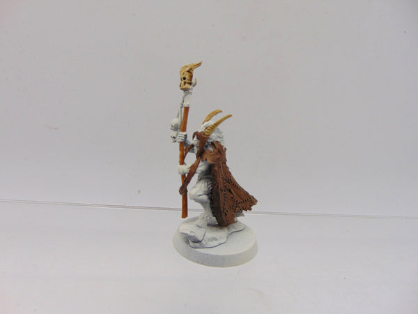 Great Bray Shaman