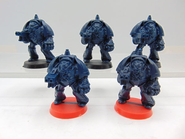 Space Hulk Terminators