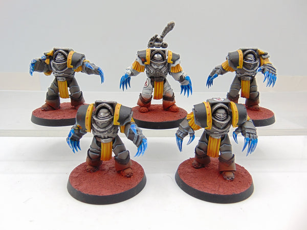 Cataphractii Terminator Squad