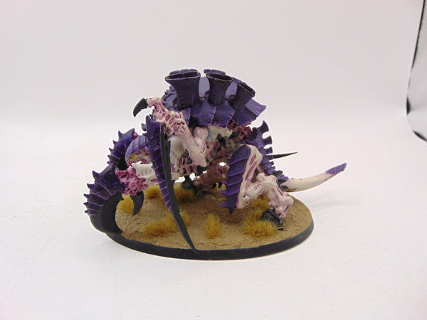 Carnifex