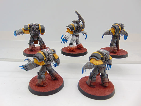 Cataphractii Terminator Squad