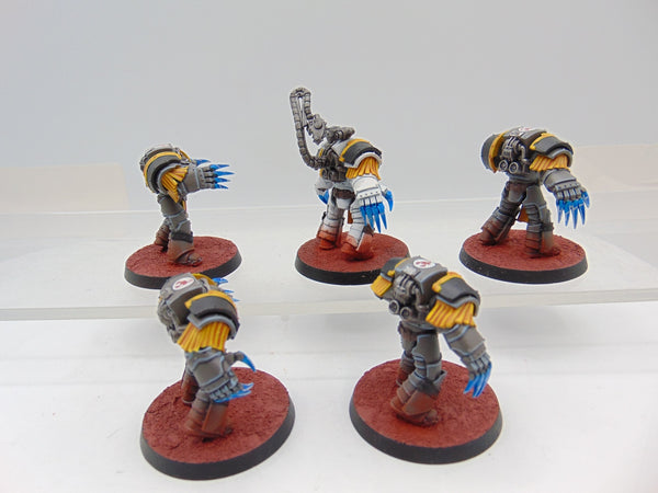 Cataphractii Terminator Squad