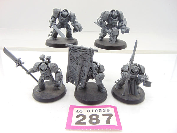 Brotherhood Terminator Squad