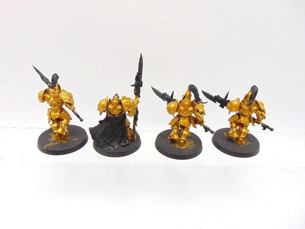 Custodian Guard Squad