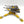 Araknae Quad Accelerator Platform