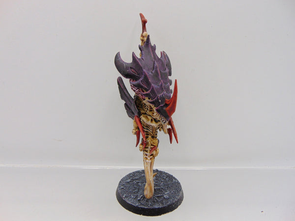 Zoanthrope