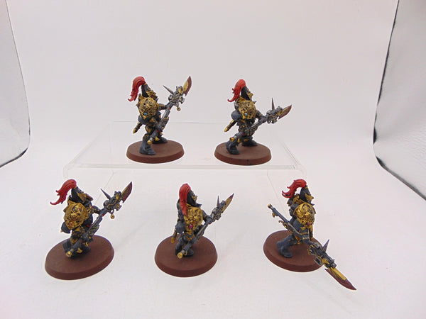 Custodian Guard