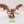 Winged Hive Tyrant