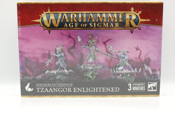 Tzaangor Enlightened / Skyfires