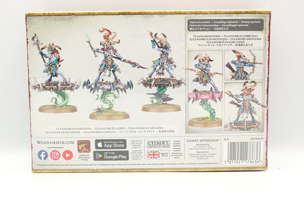 Tzaangor Enlightened / Skyfires