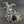The Shrooms, The Gitz and The Troggoths