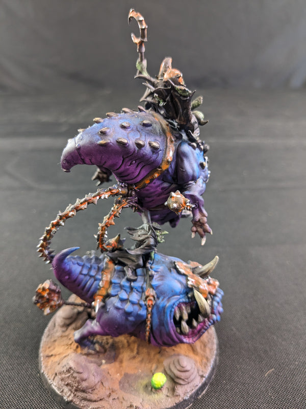 The Shrooms, The Gitz and The Troggoths