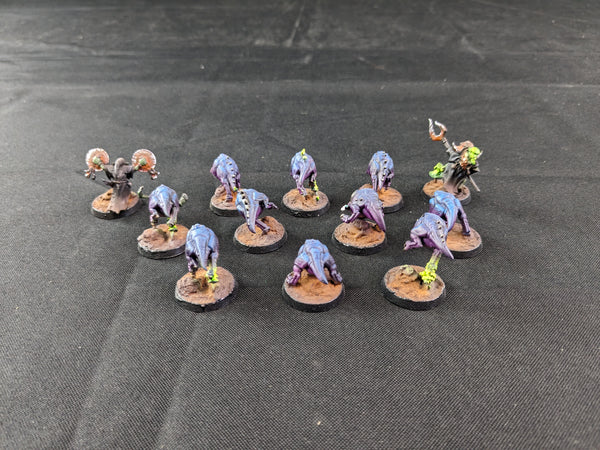 The Shrooms, The Gitz and The Troggoths
