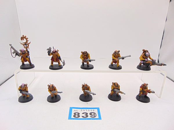 Neophyte Hybrids