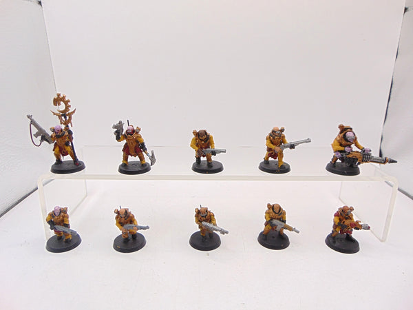 Neophyte Hybrids