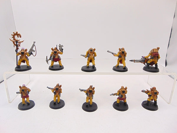 Neophyte Hybrids