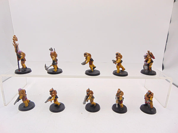 Neophyte Hybrids