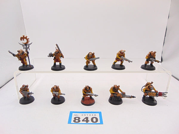 Neophyte Hybrids