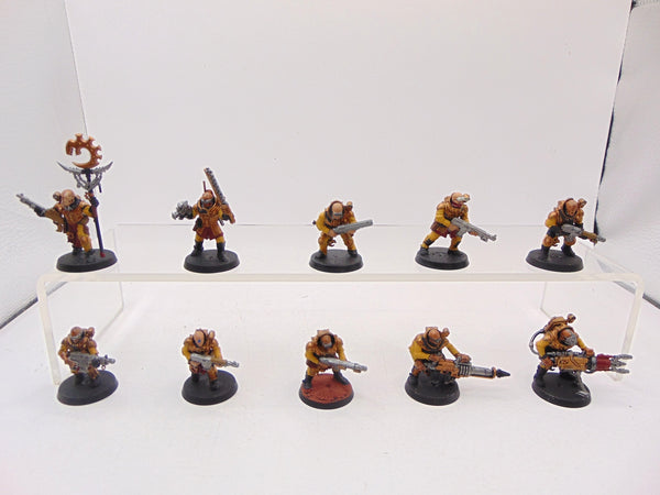 Neophyte Hybrids