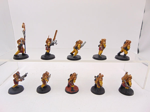 Neophyte Hybrids