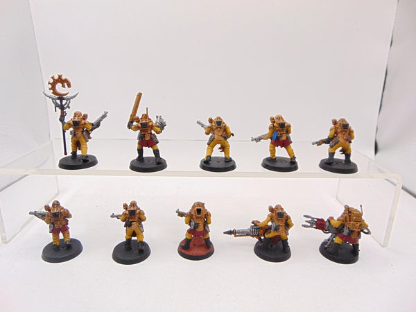 Neophyte Hybrids