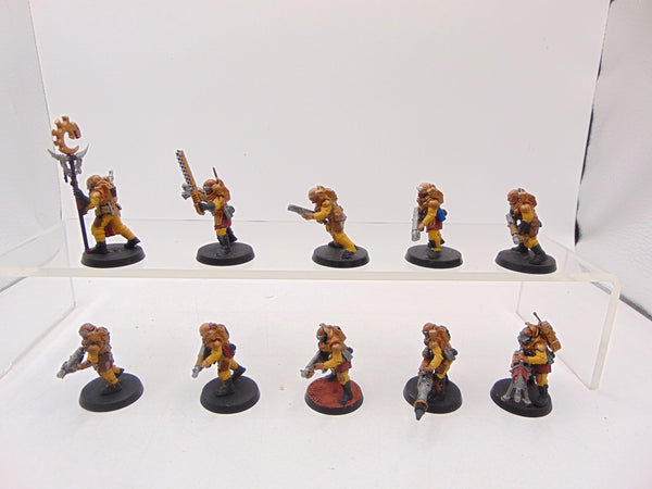 Neophyte Hybrids