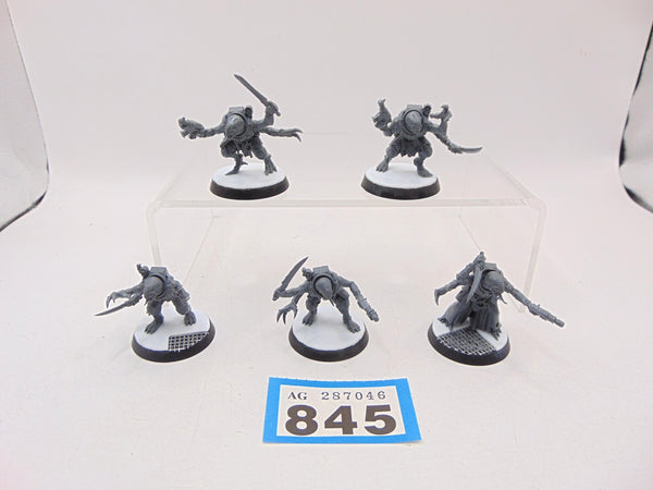 Acolyte Hybrids