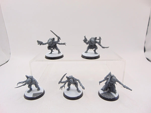 Acolyte Hybrids