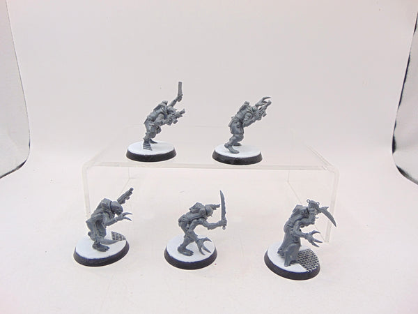 Acolyte Hybrids