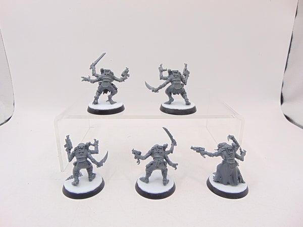 Acolyte Hybrids