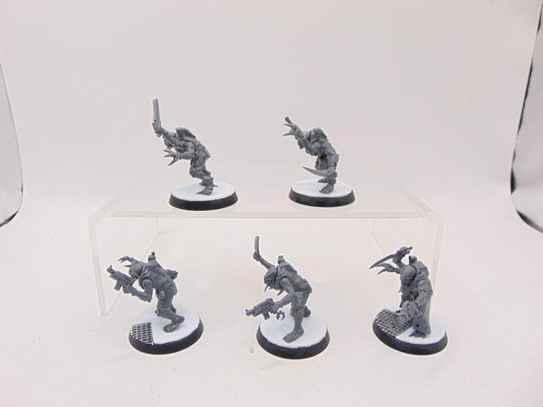 Acolyte Hybrids