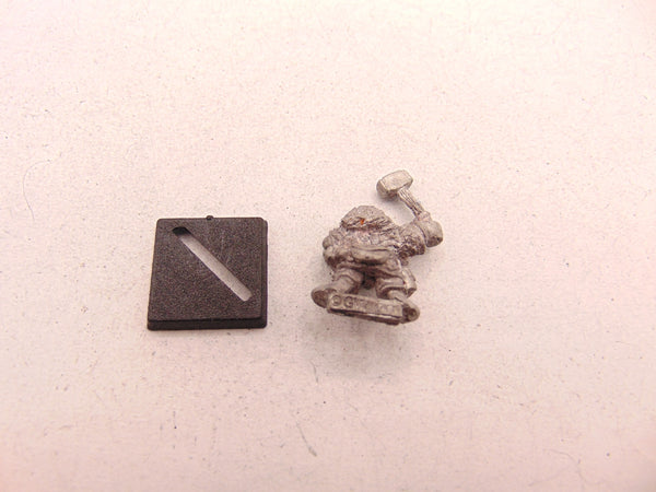 Dwarf Clansmen / Warriors