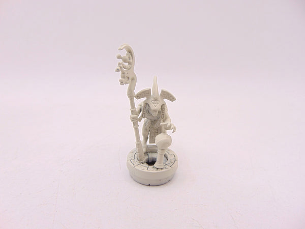 Skink Starseer