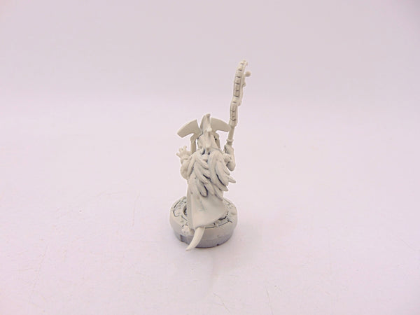 Skink Starseer