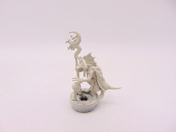 Skink Starseer