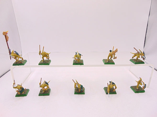 Skinks