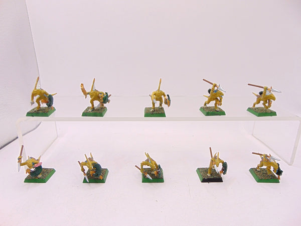 Skinks