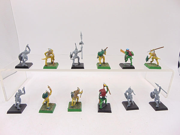 Skinks