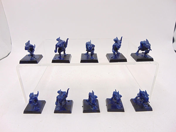 Skinks