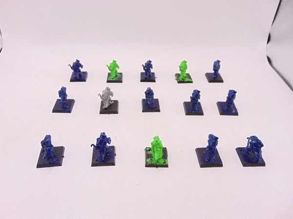 Skinks