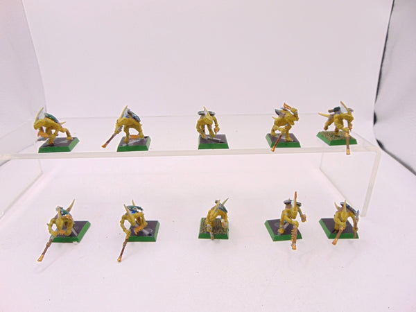 Skinks