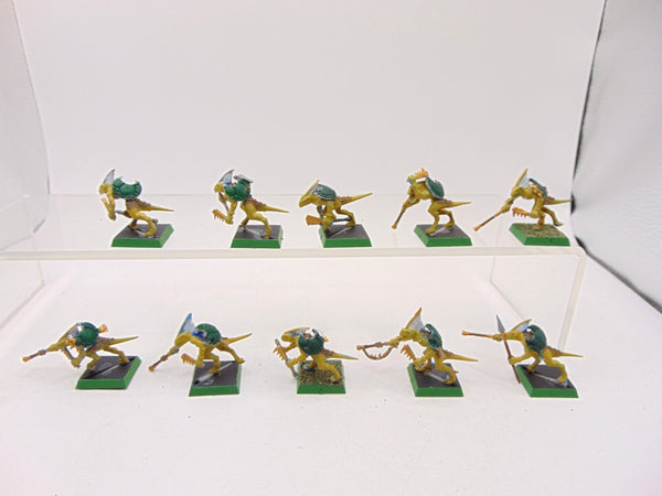 Skinks